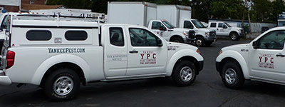 YPC mobile trucks